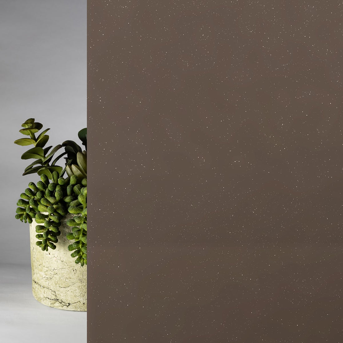 Brown Starlight Glossy