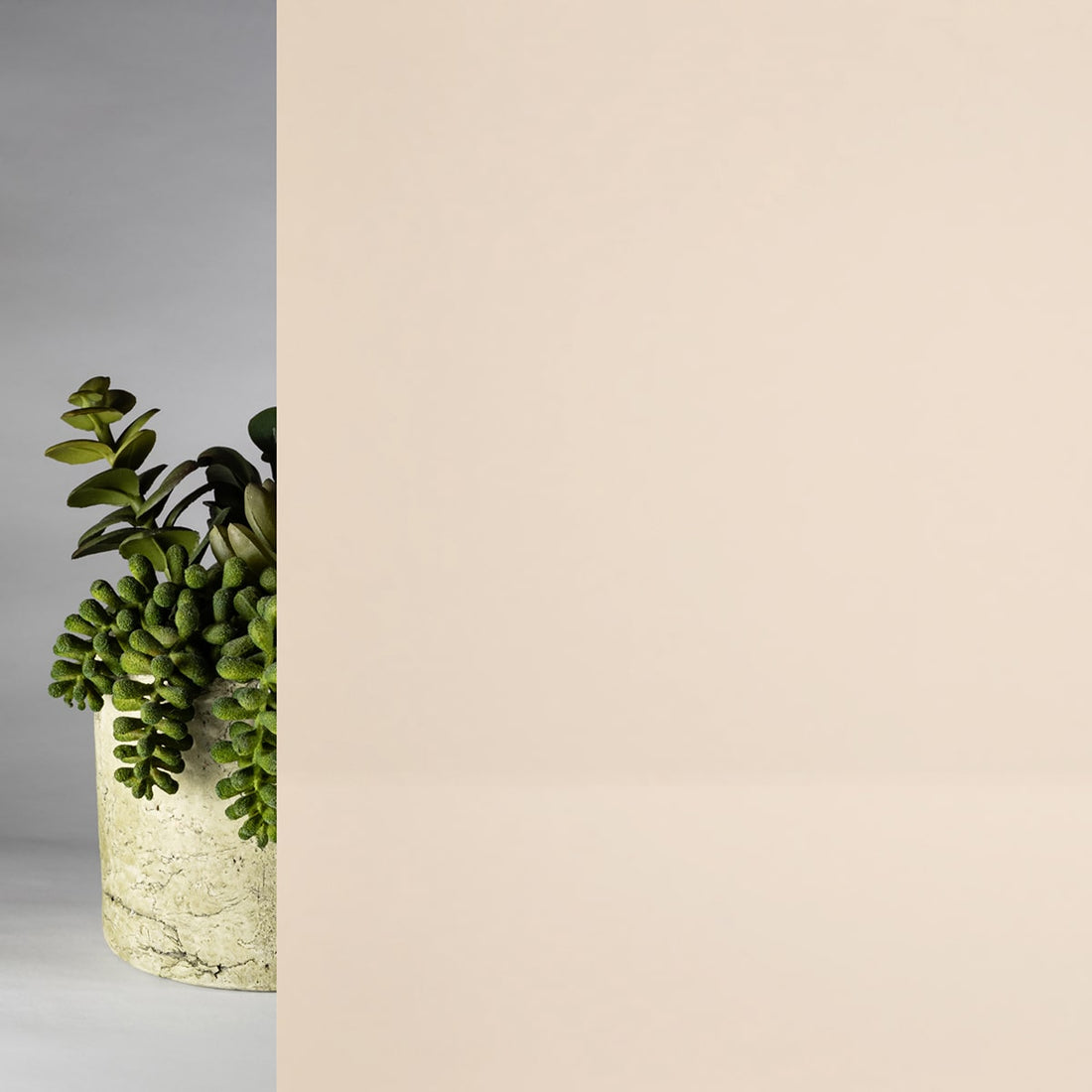White Pearl Glossy