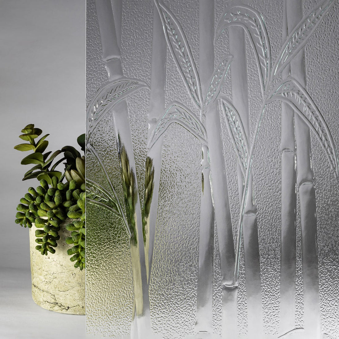 Bamboo