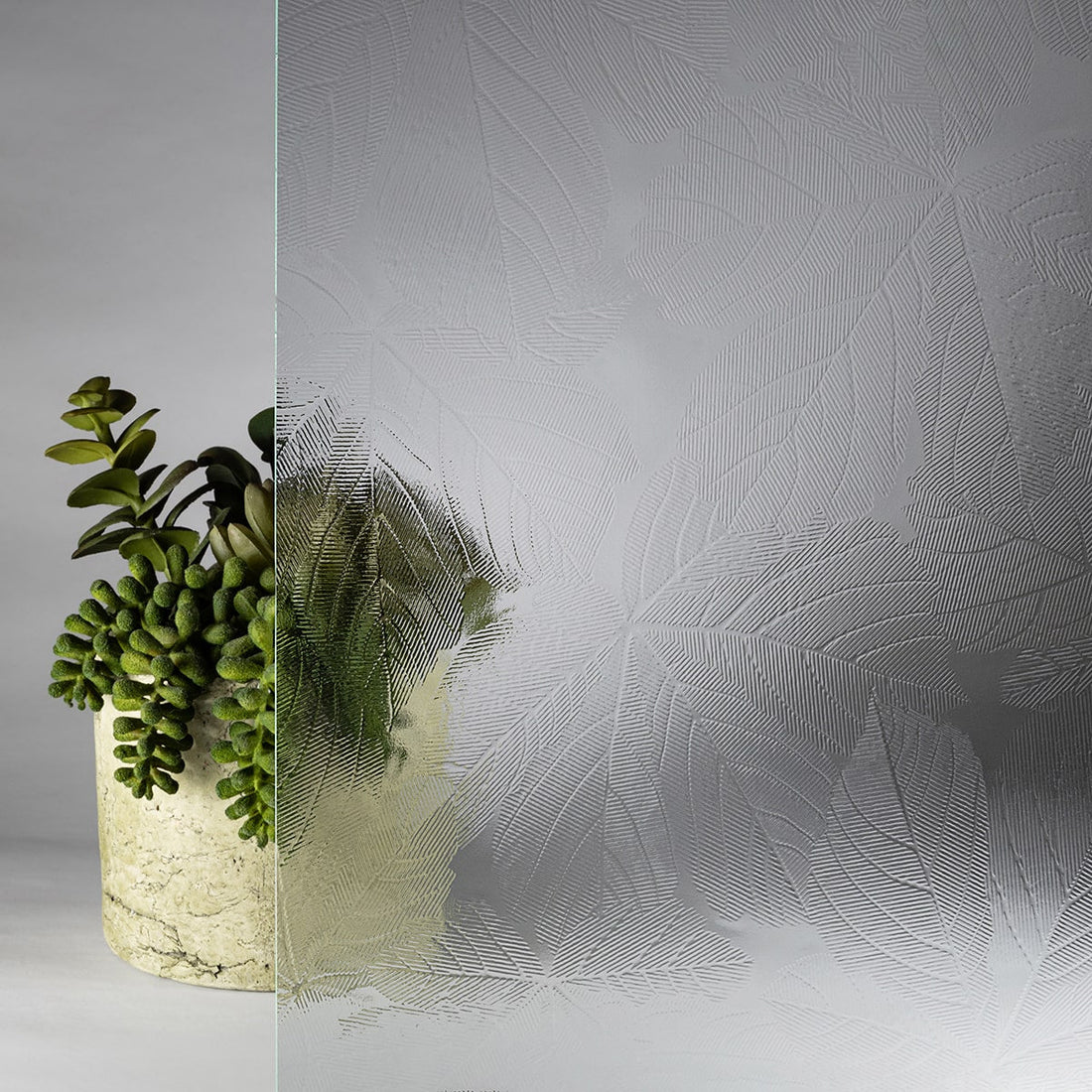 Forestvue