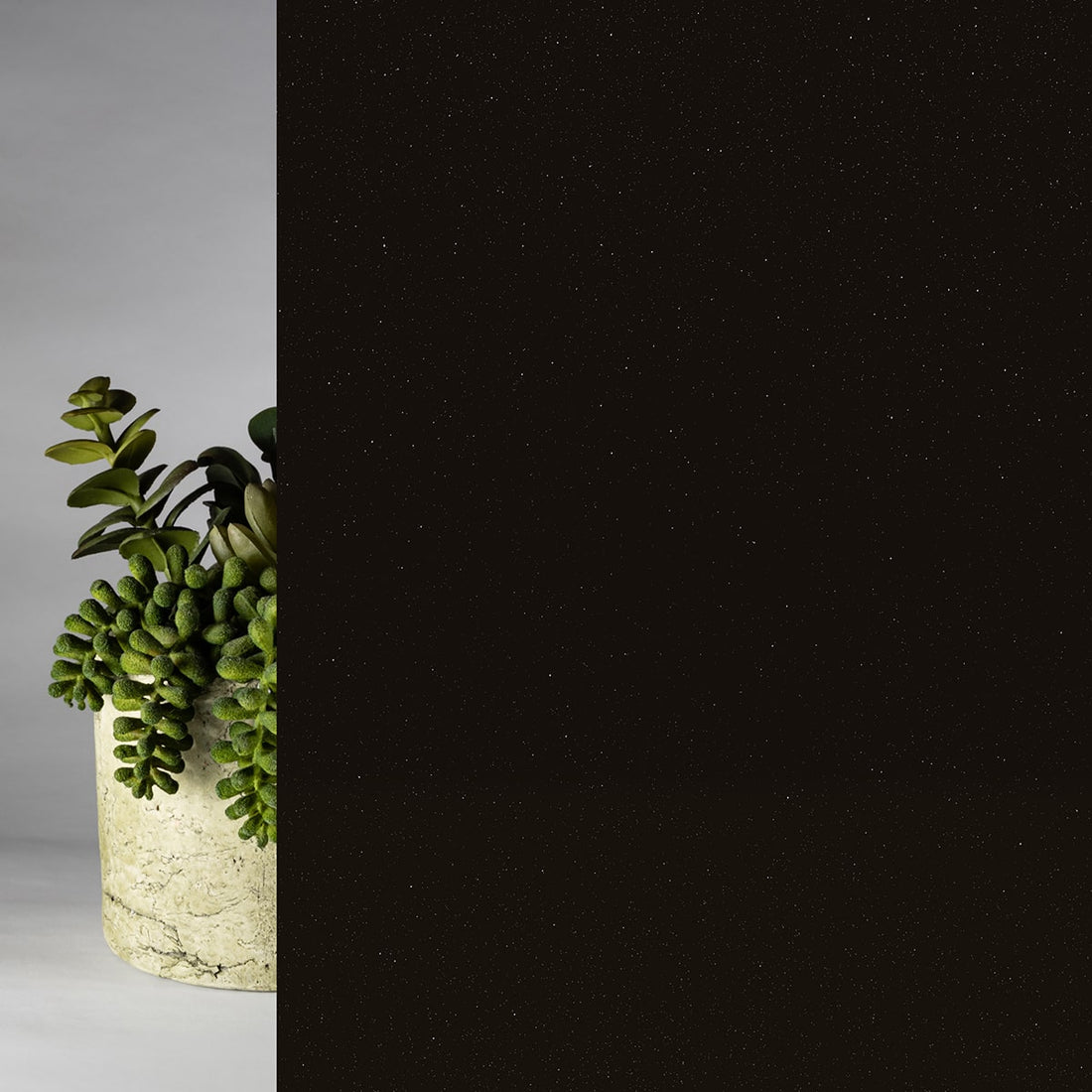 Black Starlight Glossy