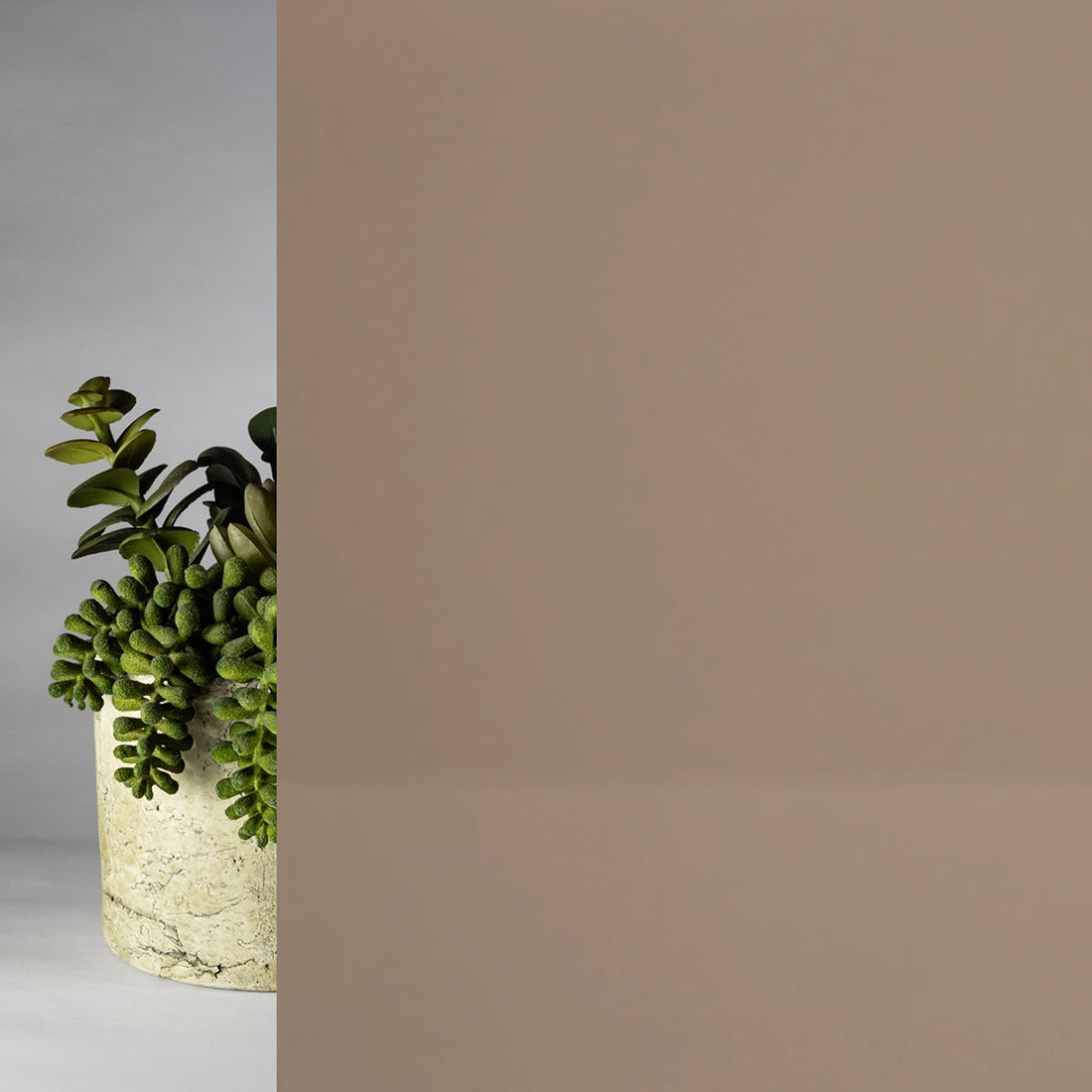 Brown Light Glossy