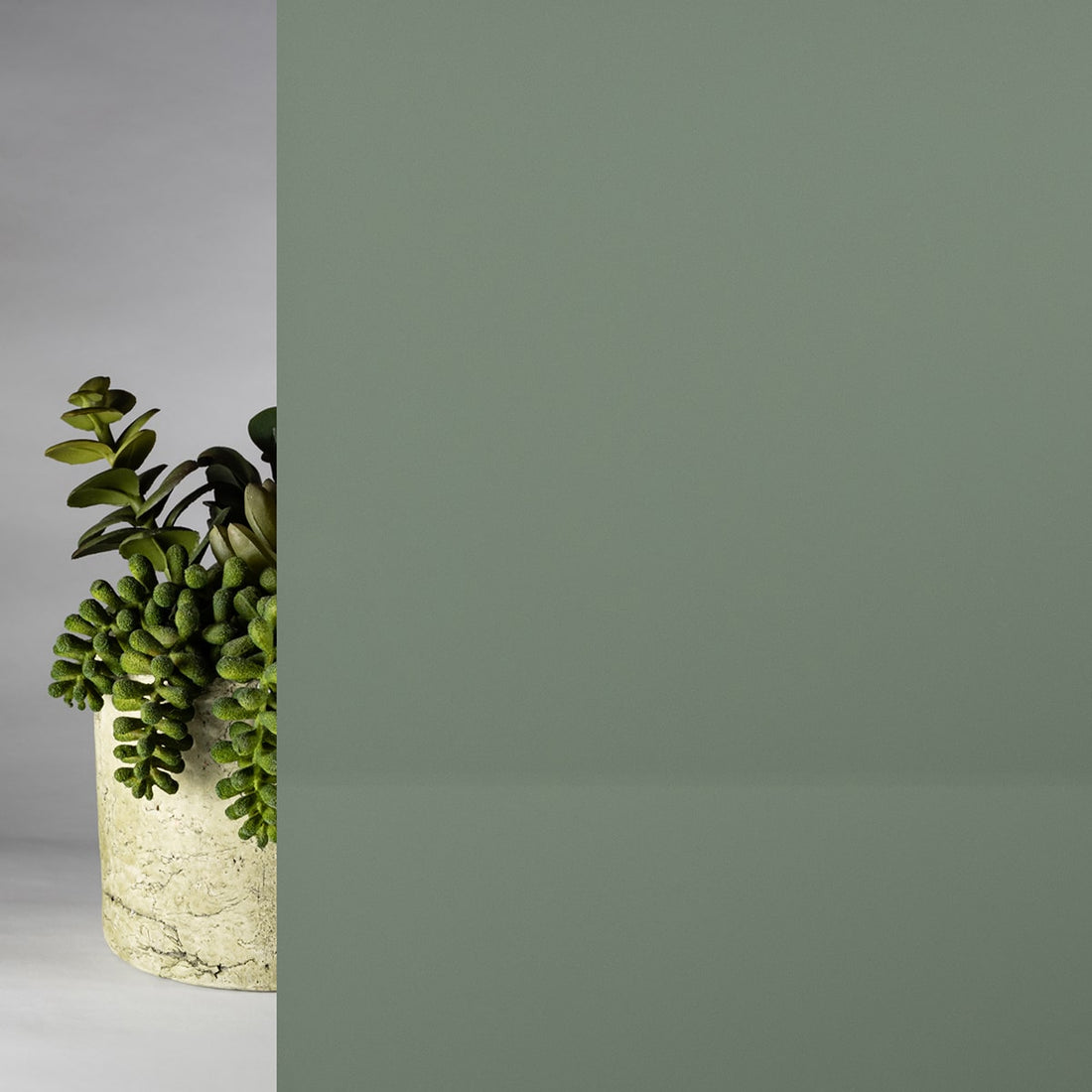 Green Sage Glossy